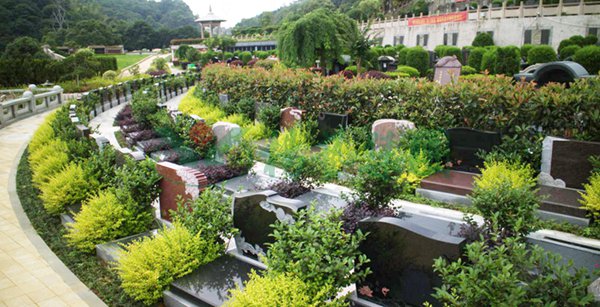 米乐|米乐·M6(中国大陆)官方网站