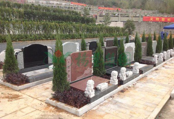 米乐|米乐·M6(中国大陆)官方网站