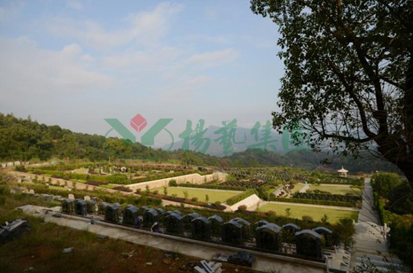 米乐|米乐·M6(中国大陆)官方网站