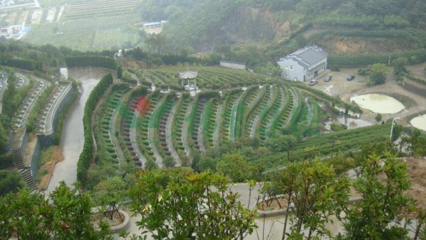 米乐|米乐·M6(中国大陆)官方网站