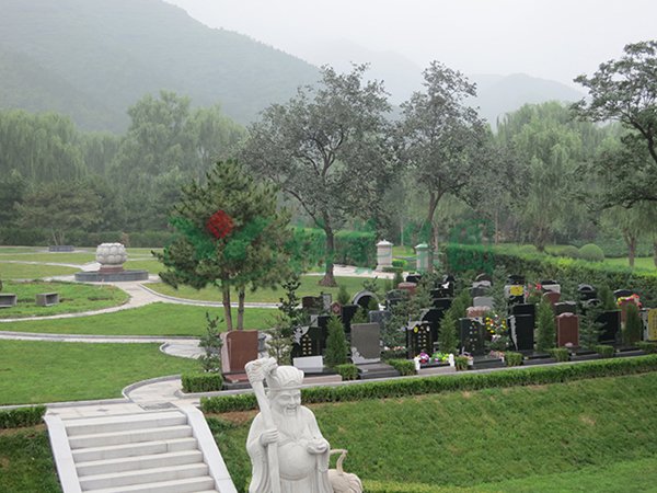 米乐|米乐·M6(中国大陆)官方网站