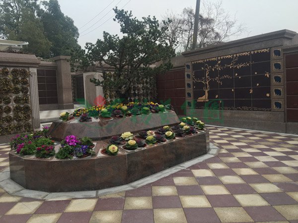 米乐|米乐·M6(中国大陆)官方网站