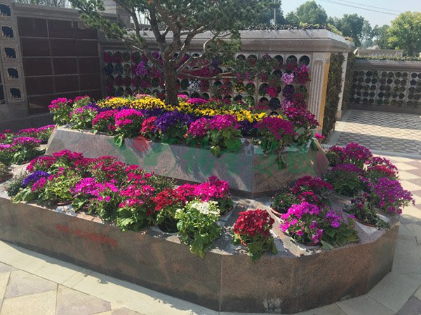 米乐|米乐·M6(中国大陆)官方网站