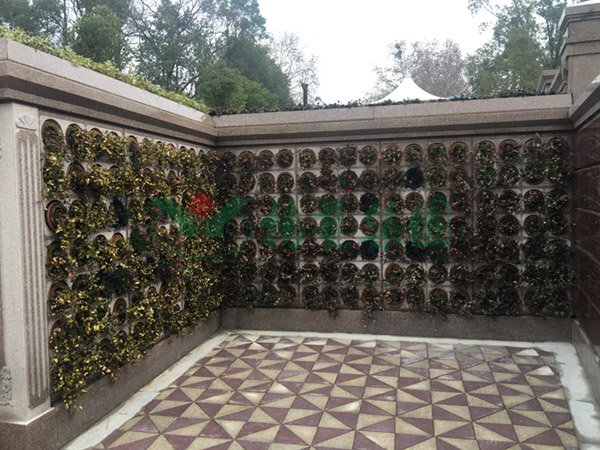 米乐|米乐·M6(中国大陆)官方网站