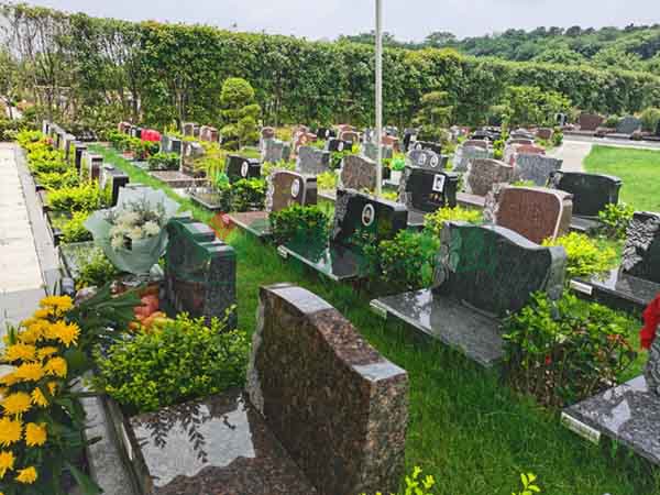 米乐|米乐·M6(中国大陆)官方网站