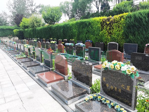 米乐|米乐·M6(中国大陆)官方网站