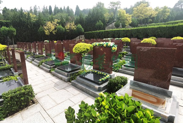 米乐|米乐·M6(中国大陆)官方网站