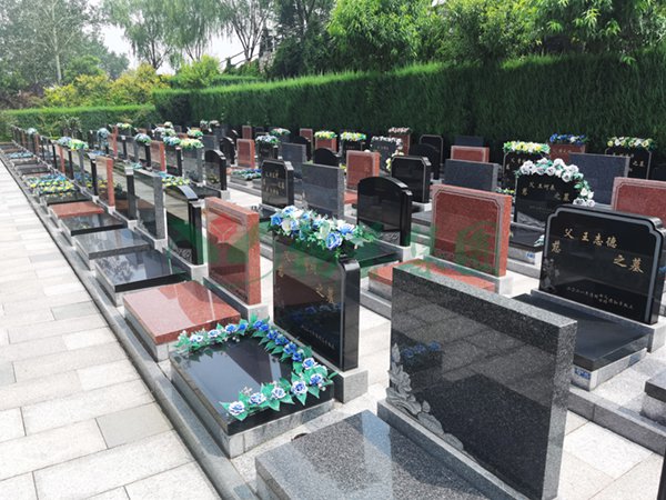 米乐|米乐·M6(中国大陆)官方网站