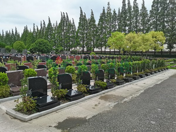 米乐|米乐·M6(中国大陆)官方网站