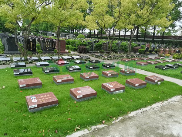 米乐|米乐·M6(中国大陆)官方网站