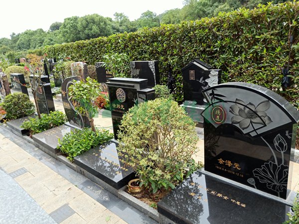 米乐|米乐·M6(中国大陆)官方网站