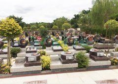 上海；；懔靶腔鹎