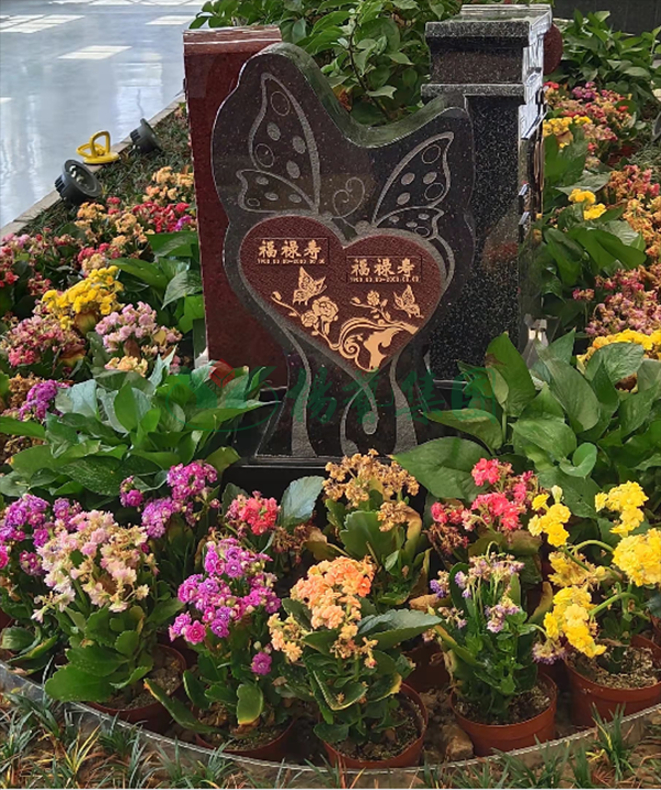 米乐|米乐·M6(中国大陆)官方网站