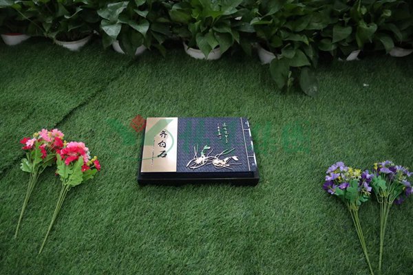 米乐|米乐·M6(中国大陆)官方网站