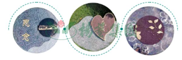 米乐|米乐·M6(中国大陆)官方网站