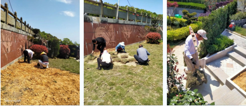 米乐|米乐·M6(中国大陆)官方网站