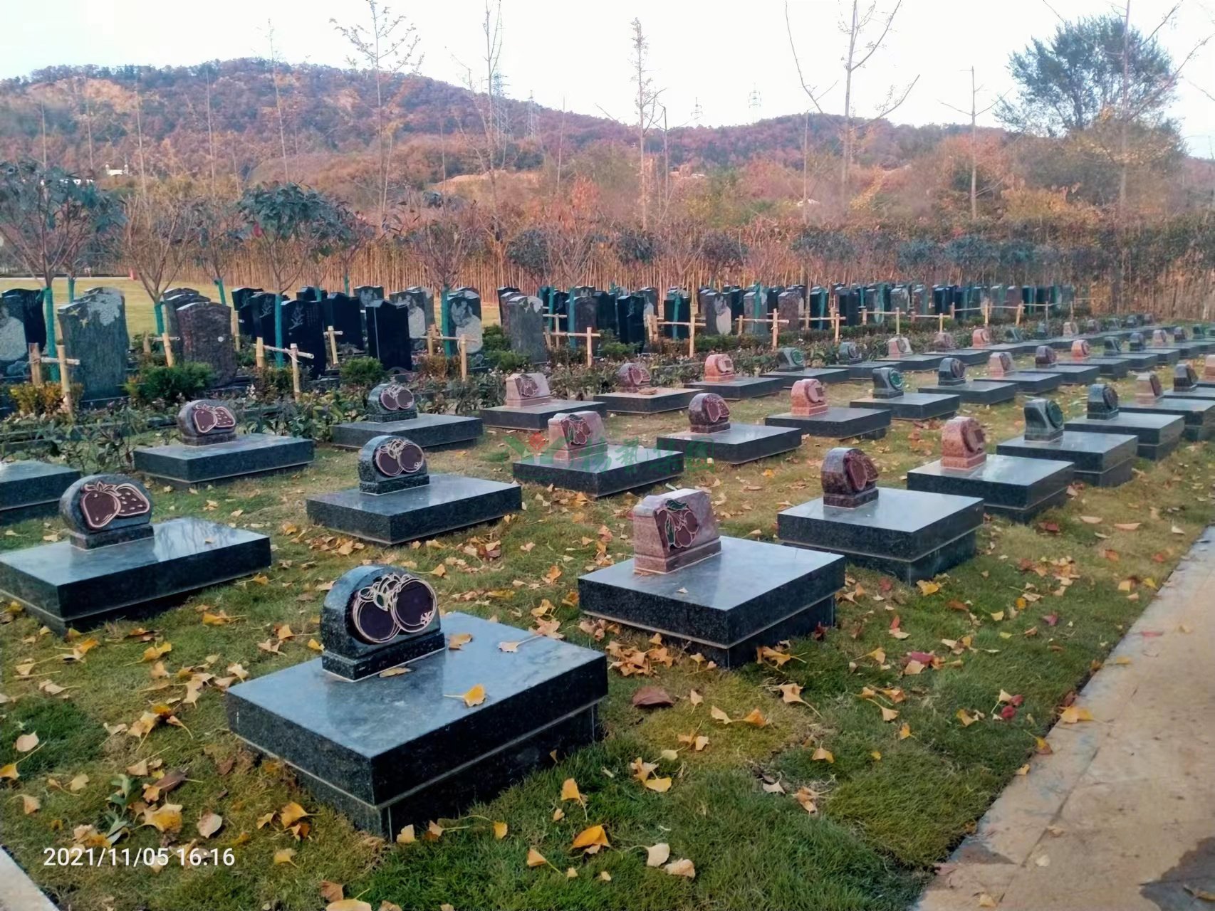 米乐|米乐·M6(中国大陆)官方网站