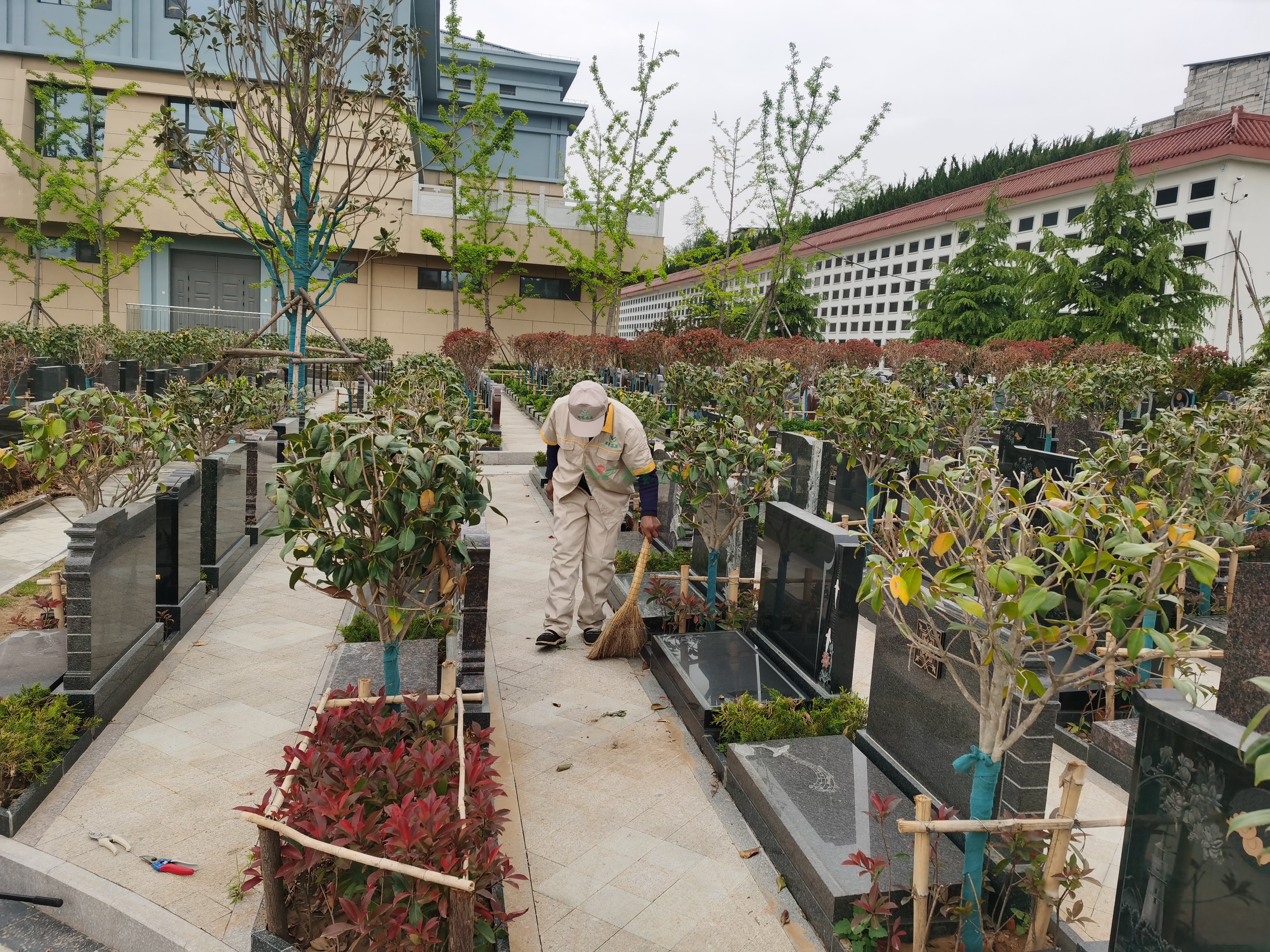 米乐|米乐·M6(中国大陆)官方网站