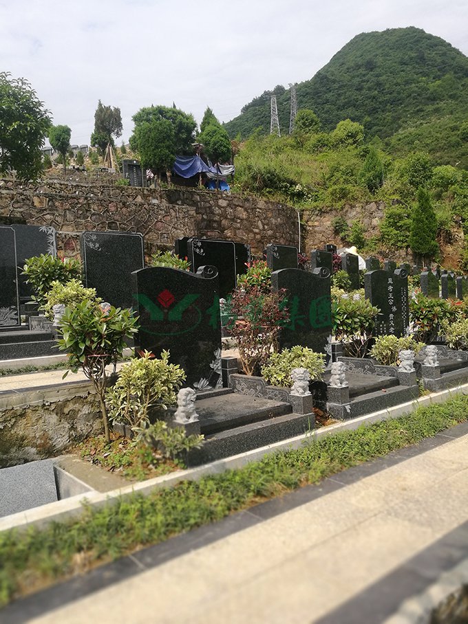 米乐|米乐·M6(中国大陆)官方网站