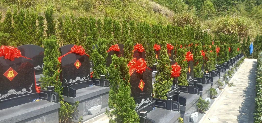 米乐|米乐·M6(中国大陆)官方网站