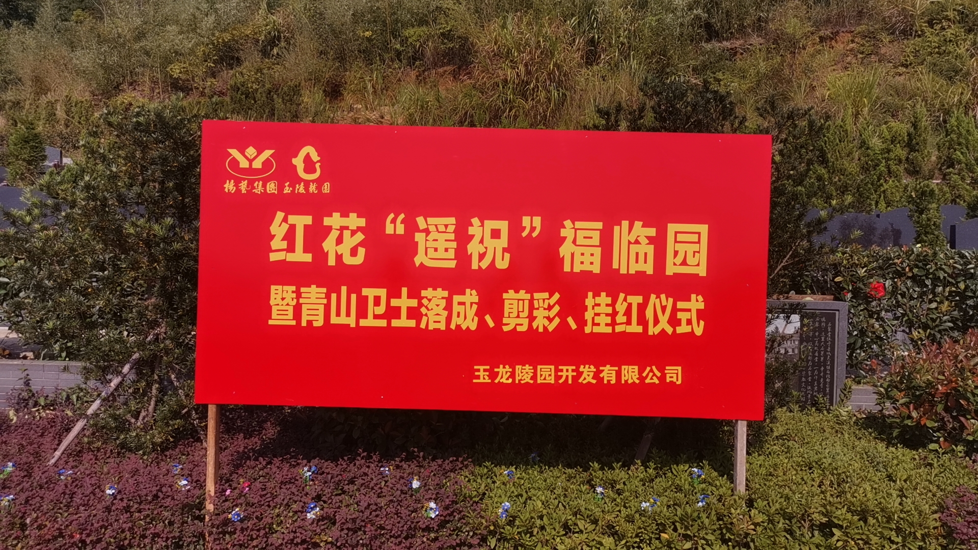 红花传爱意，，，，，，情满玉龙园！