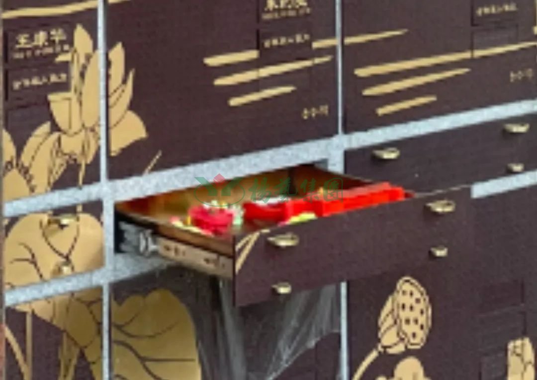 米乐|米乐·M6(中国大陆)官方网站