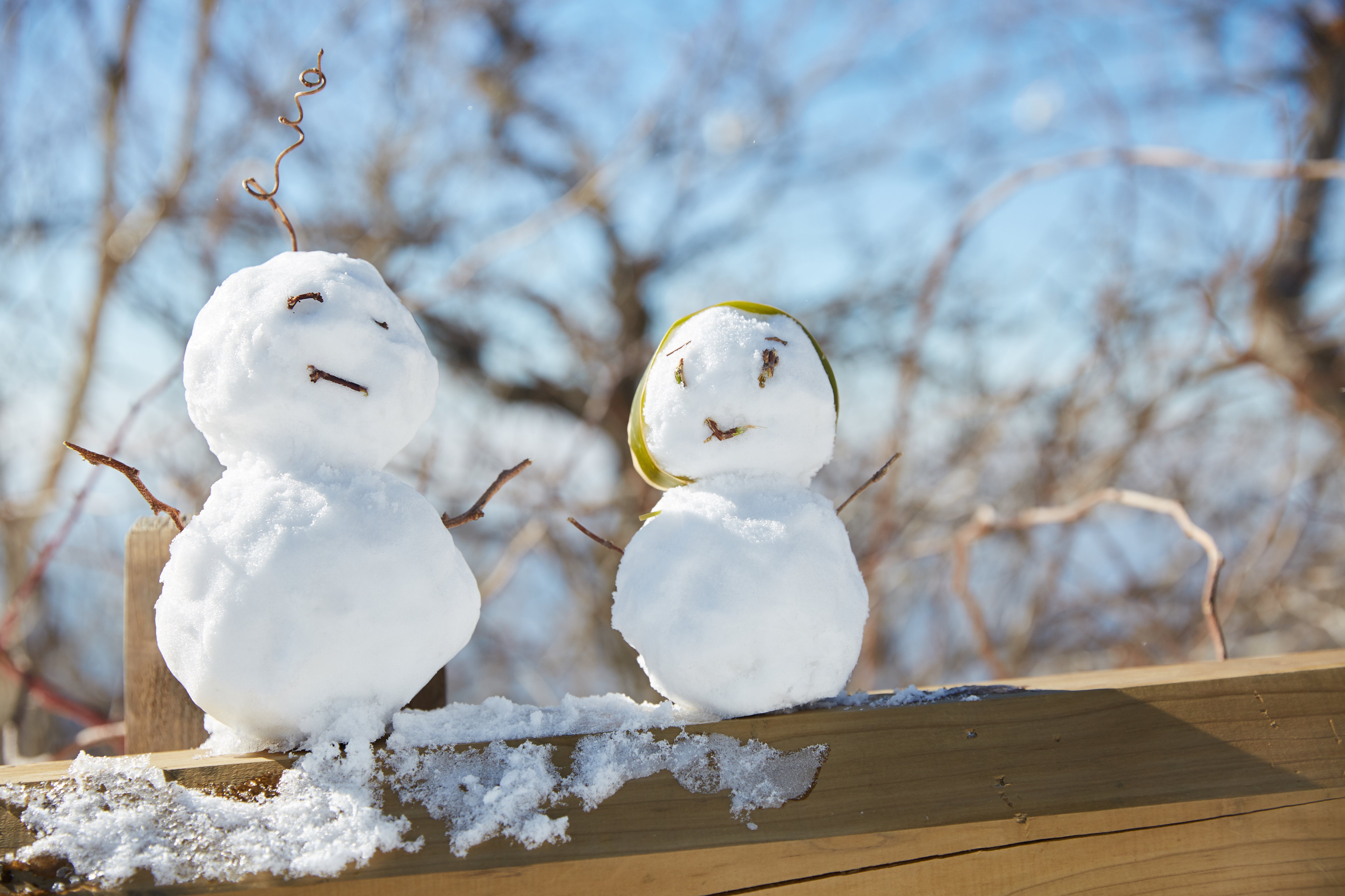 冬至，，，暖“杨”相伴 | 米乐m6人全力配合各墓园冬至落葬