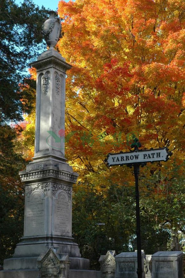 米乐|米乐·M6(中国大陆)官方网站