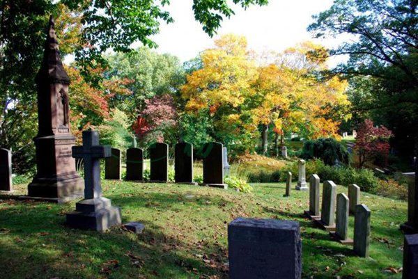 米乐|米乐·M6(中国大陆)官方网站