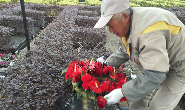 米乐|米乐·M6(中国大陆)官方网站