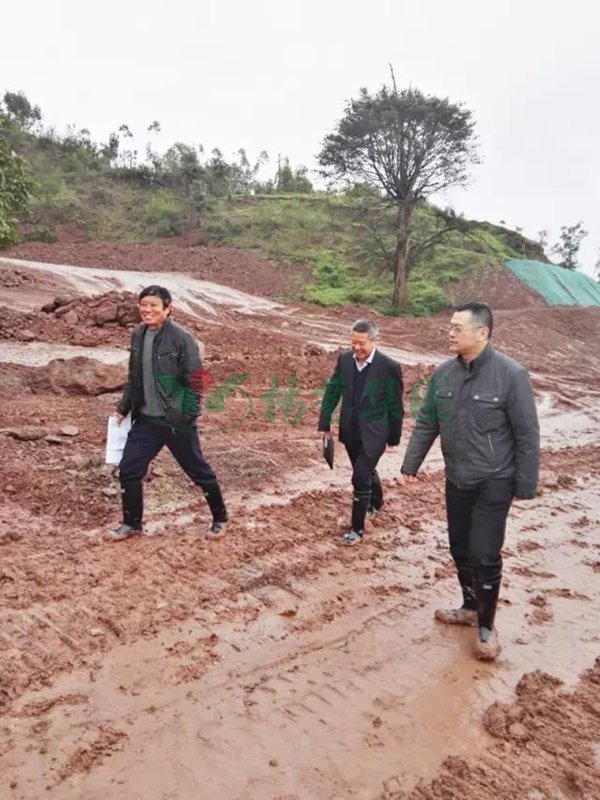 米乐|米乐·M6(中国大陆)官方网站