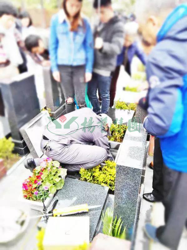 米乐|米乐·M6(中国大陆)官方网站