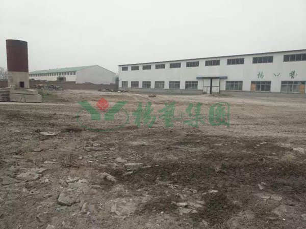 米乐|米乐·M6(中国大陆)官方网站