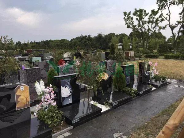 米乐|米乐·M6(中国大陆)官方网站