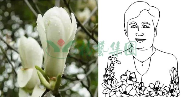 米乐|米乐·M6(中国大陆)官方网站