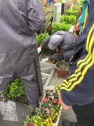 【米乐m6人别样清明】2018年清明落葬事情圆满完成