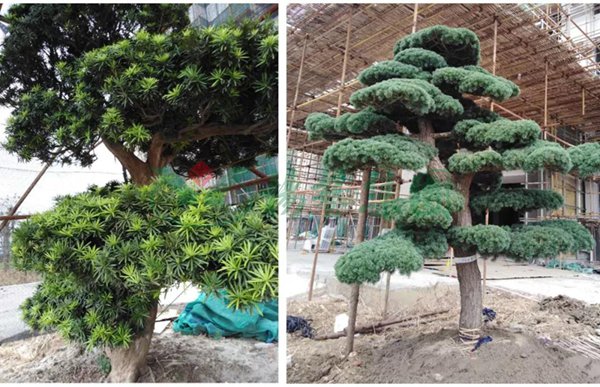 米乐|米乐·M6(中国大陆)官方网站