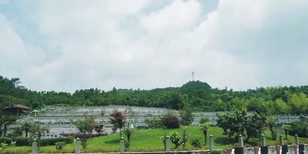 米乐|米乐·M6(中国大陆)官方网站