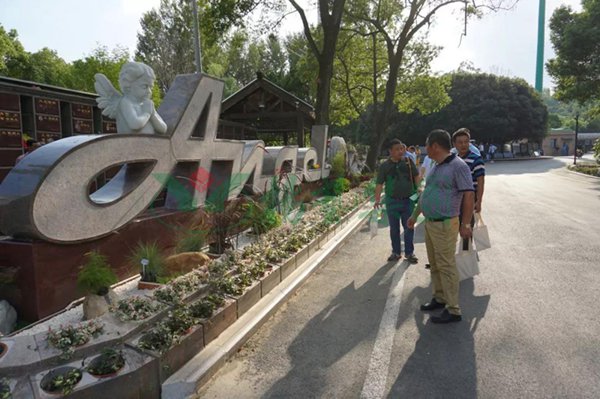 米乐|米乐·M6(中国大陆)官方网站