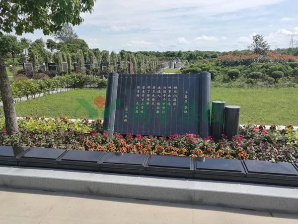 米乐|米乐·M6(中国大陆)官方网站