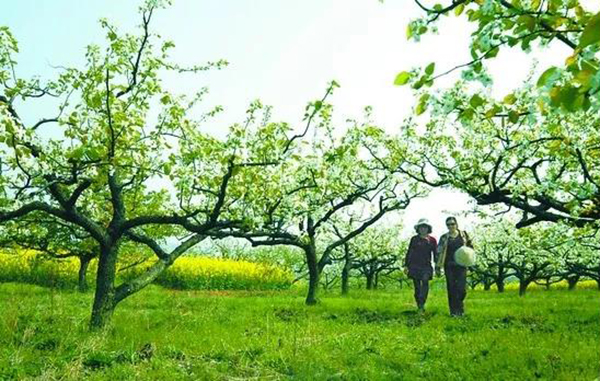 米乐|米乐·M6(中国大陆)官方网站