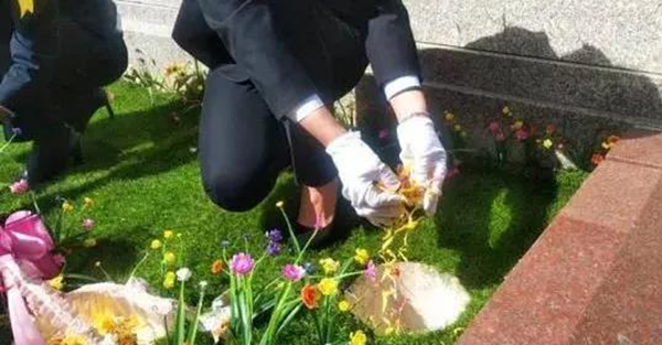 米乐|米乐·M6(中国大陆)官方网站