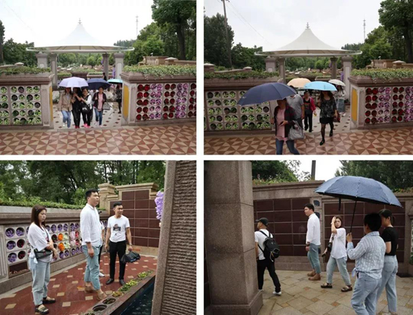 米乐|米乐·M6(中国大陆)官方网站