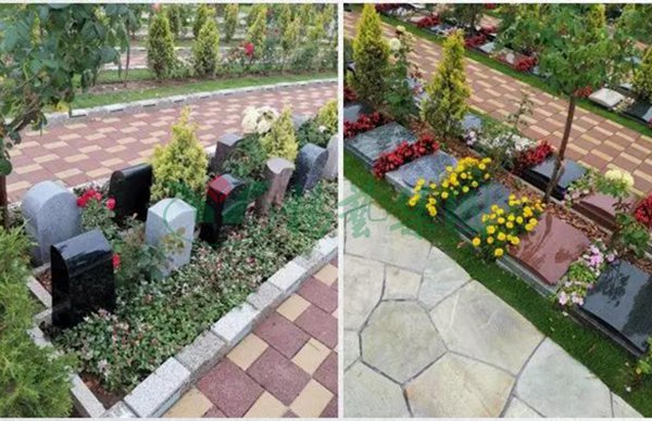 米乐|米乐·M6(中国大陆)官方网站