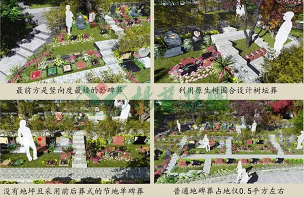 米乐|米乐·M6(中国大陆)官方网站