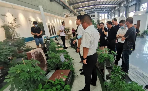 米乐|米乐·M6(中国大陆)官方网站