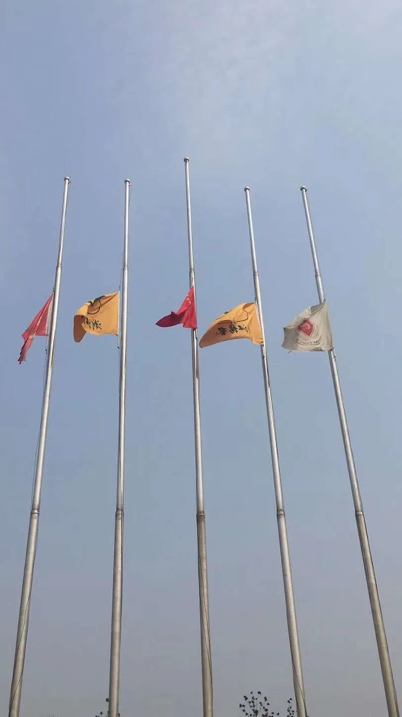 米乐|米乐·M6(中国大陆)官方网站