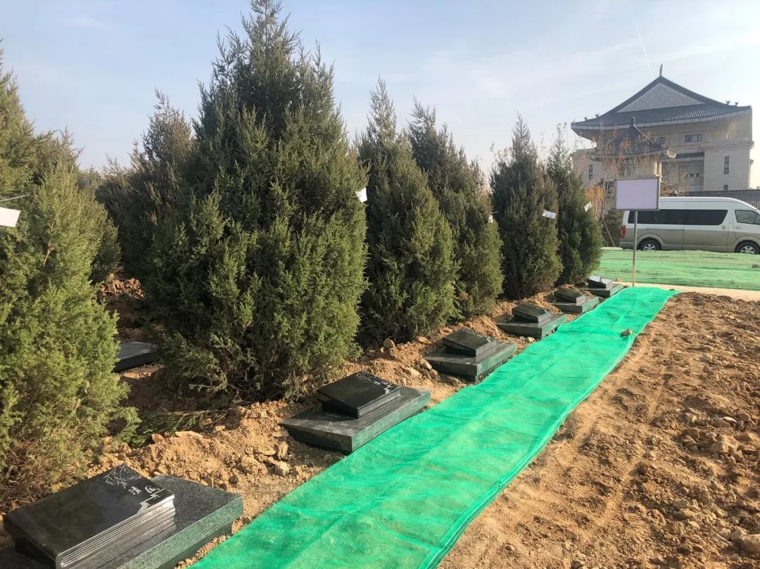 米乐|米乐·M6(中国大陆)官方网站