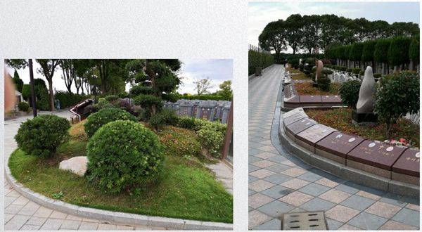 米乐|米乐·M6(中国大陆)官方网站