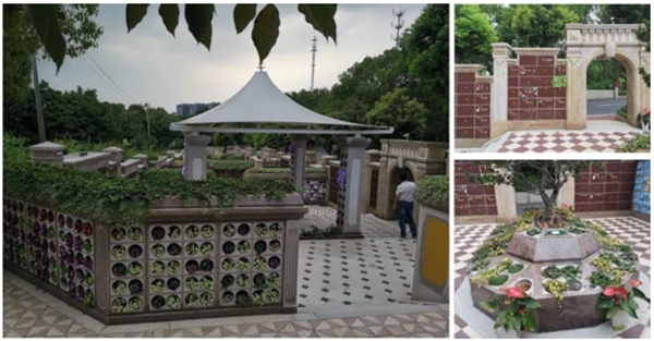 米乐|米乐·M6(中国大陆)官方网站